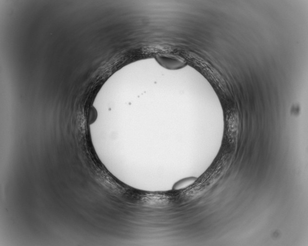 X0000103490617200810031607