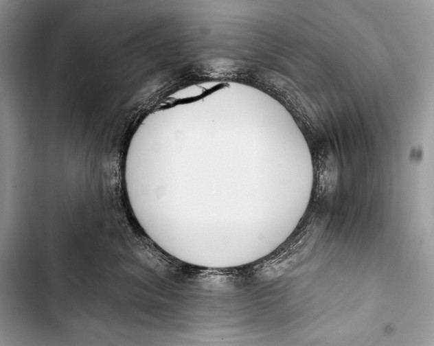 X0000103490620200810031607