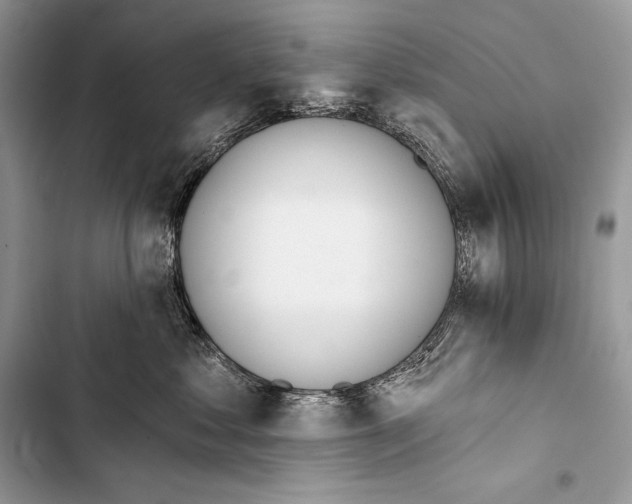 X0000103490621200810031607