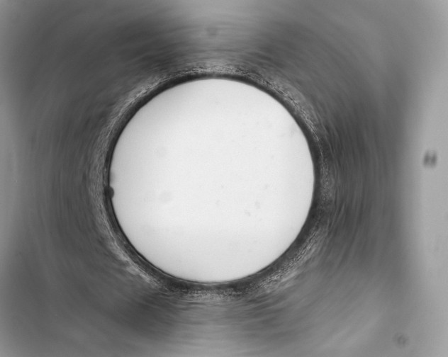 X0000103490625200810031606