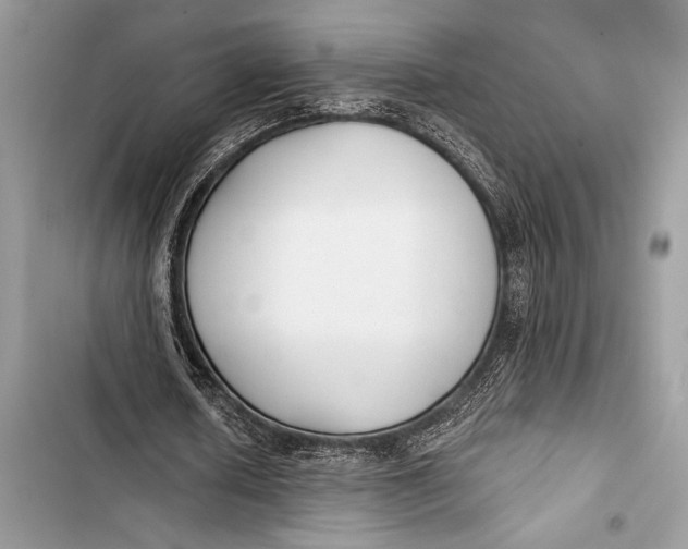 X0000103490626200810031606