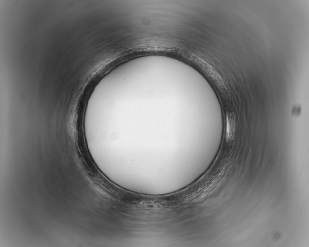 X0000103490627200810031606