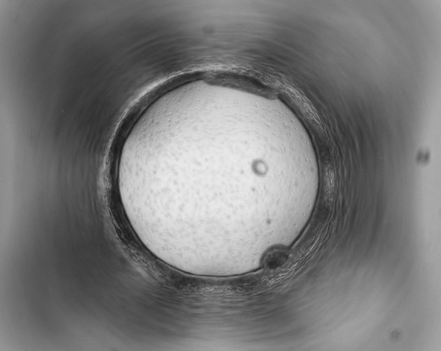 X0000103490628200810031606