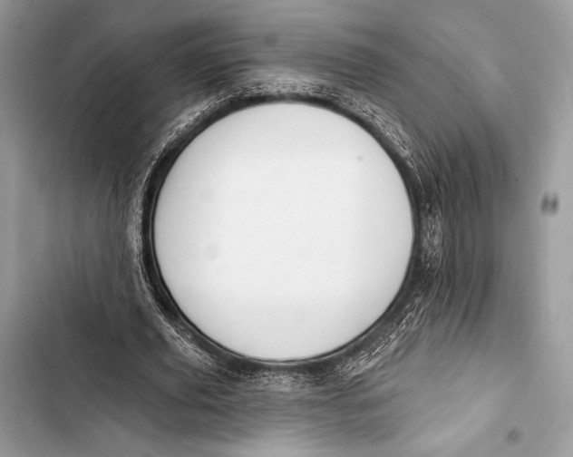 X0000103490629200810031606