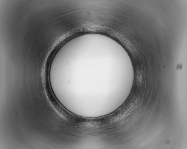 X0000103490630200810031606