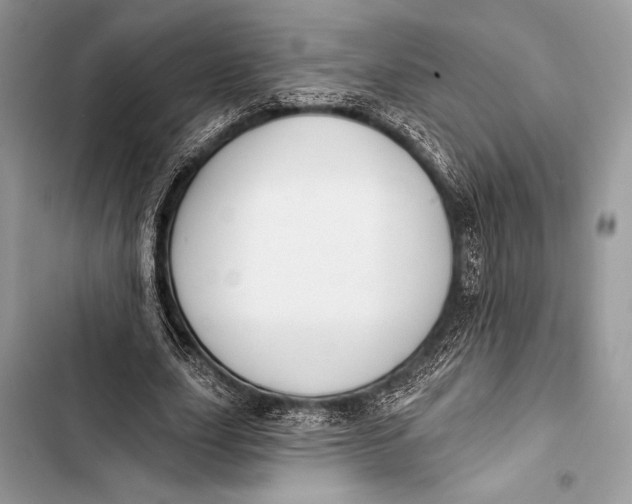 X0000103490631200810031606