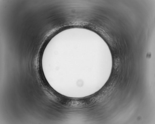 X0000103490632200810031606