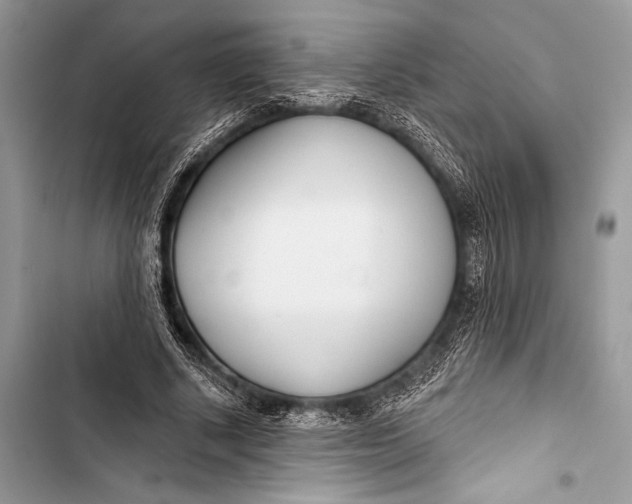 X0000103490634200810031606