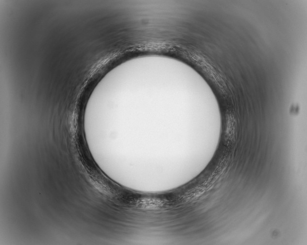 X0000103490636200810031606