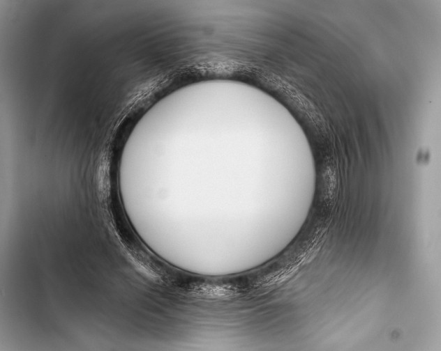 X0000103490638200810031606