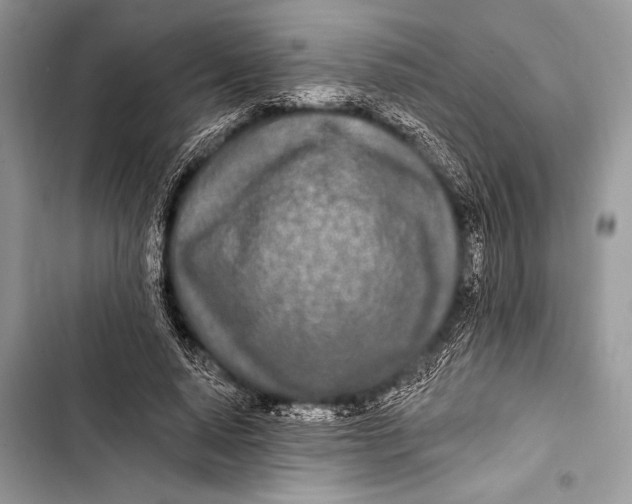 X0000103490640200810031606