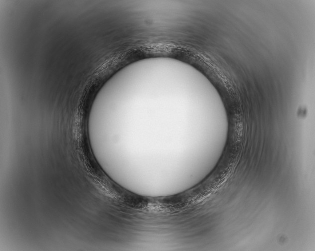 X0000103490641200810031606