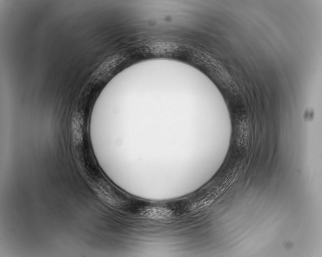 X0000103490644200810031606