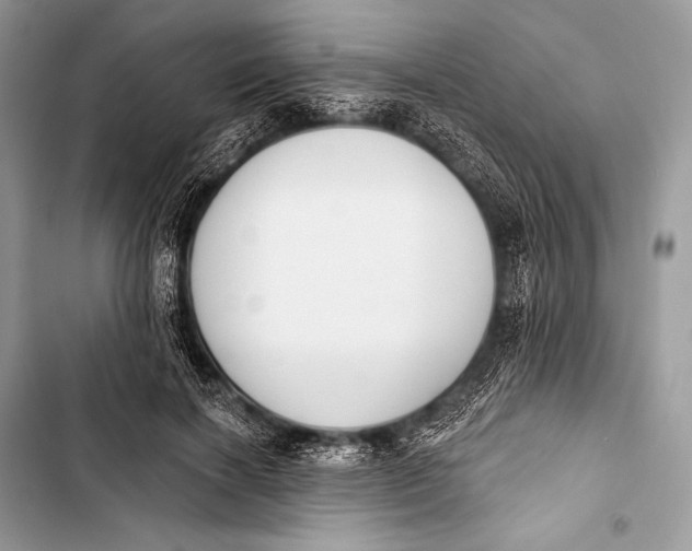 X0000103490646200810031606