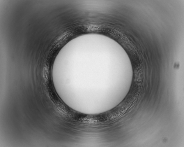 X0000103490648200810031606