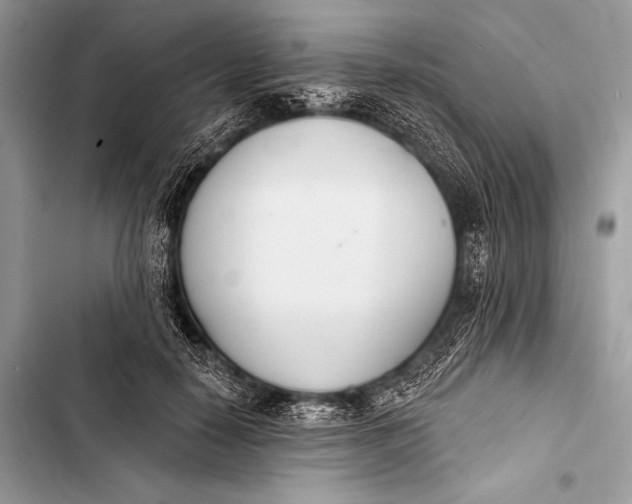 X0000103490650200810031607