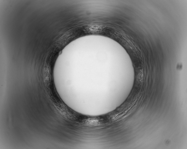 X0000103490651200810031607