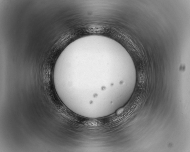 X0000103490652200810031607