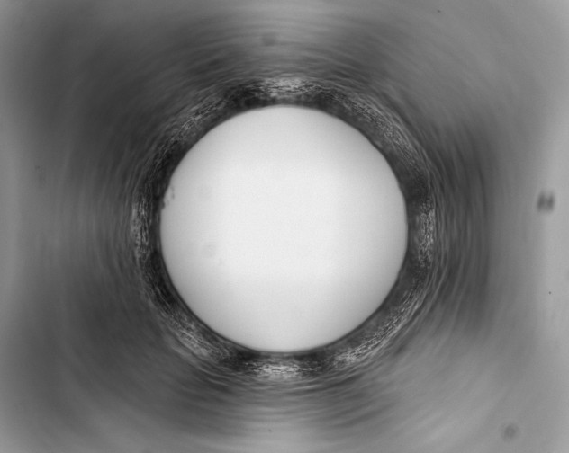 X0000103490653200810031607