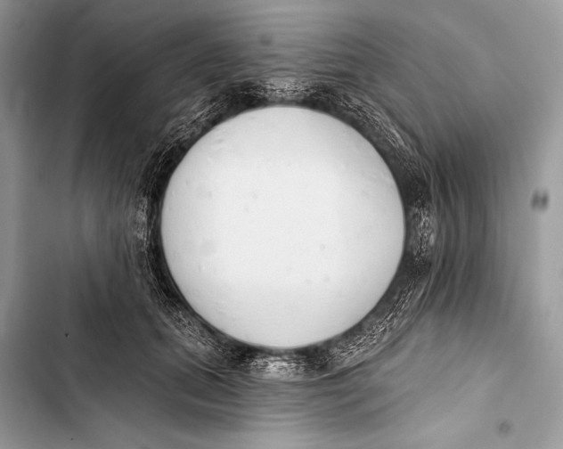 X0000103490655200810031607