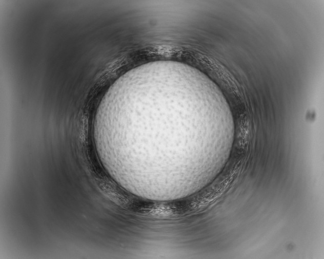 X0000103490656200810031607