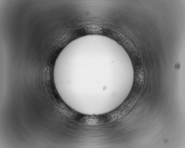 X0000103490658200810031607