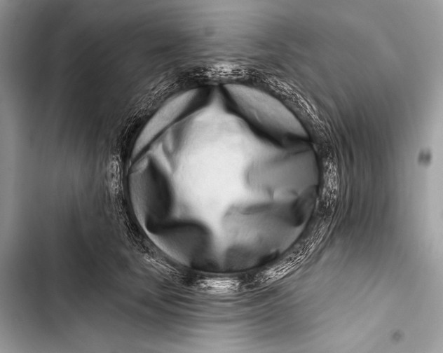 X0000103490659200810031607