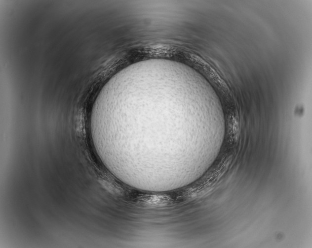 X0000103490663200810031607