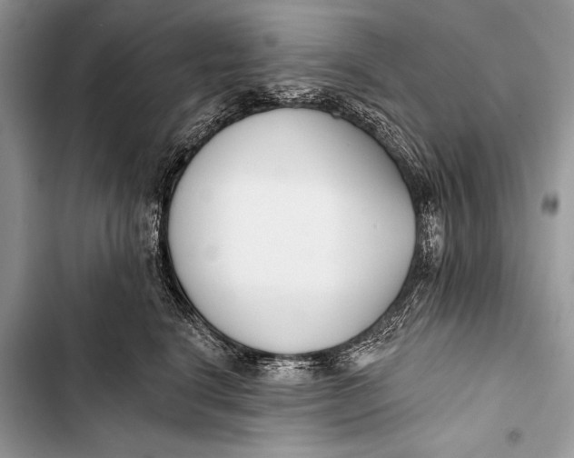 X0000103490664200810031607