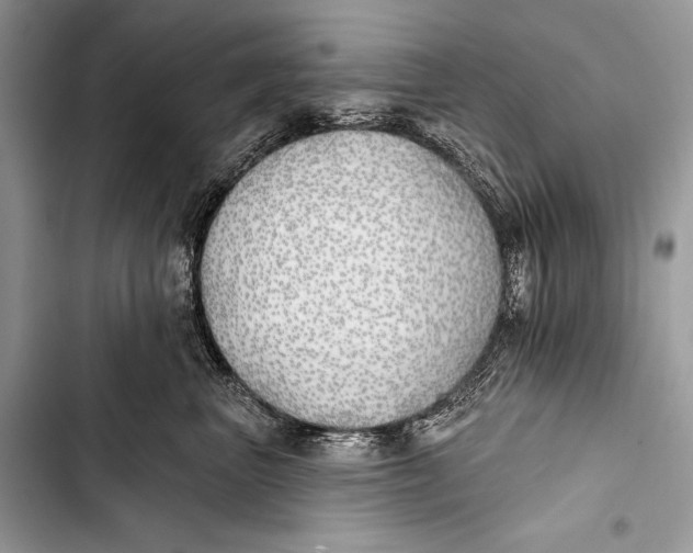 X0000103490667200810031607