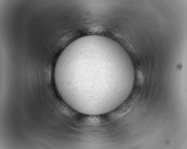 X0000103490668200810031607