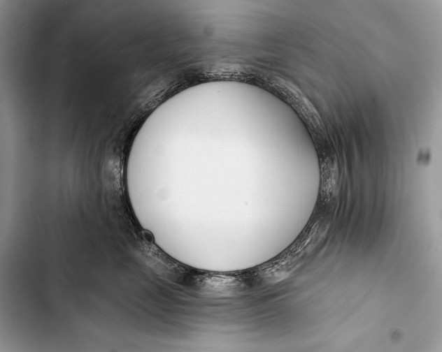 X0000103490669200810031607