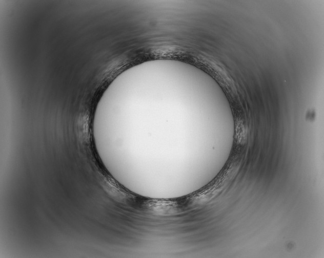 X0000103490670200810031607