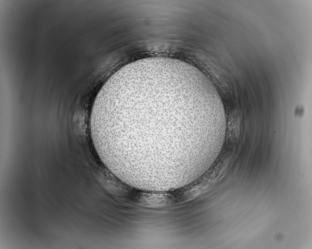 X0000103490671200810031607