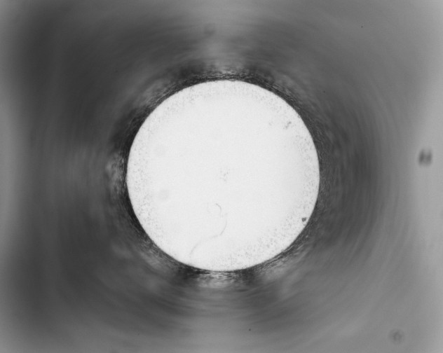 X0000103490672200810031607