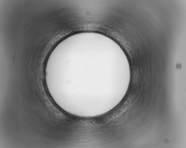 X0000103490673200810031606