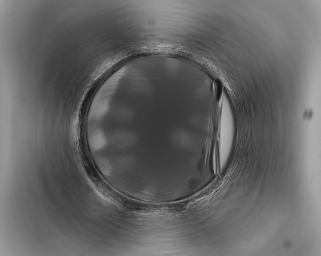 X0000103490674200810031606