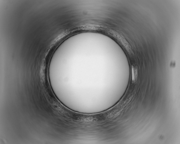 X0000103490675200810031606