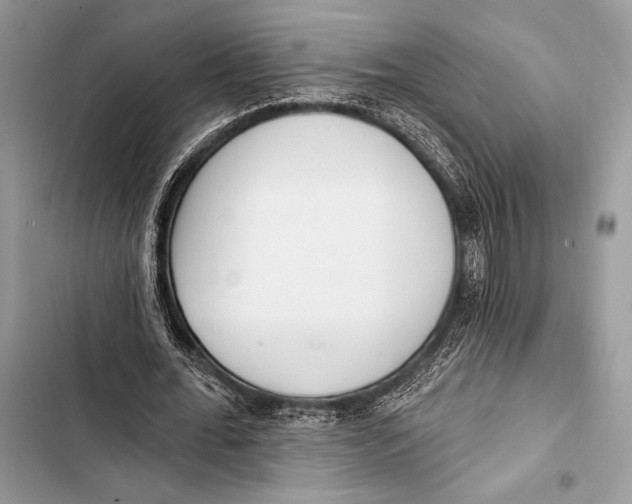 X0000103490676200810031606