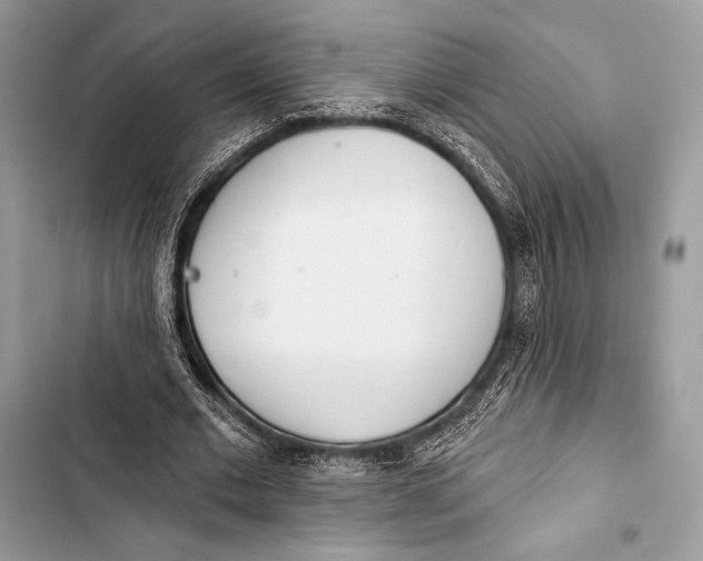 X0000103490677200810031606