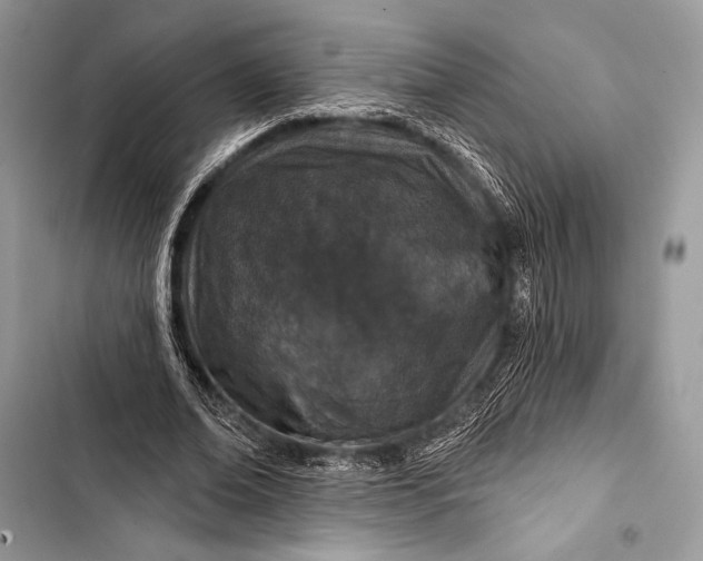 X0000103490678200810031606