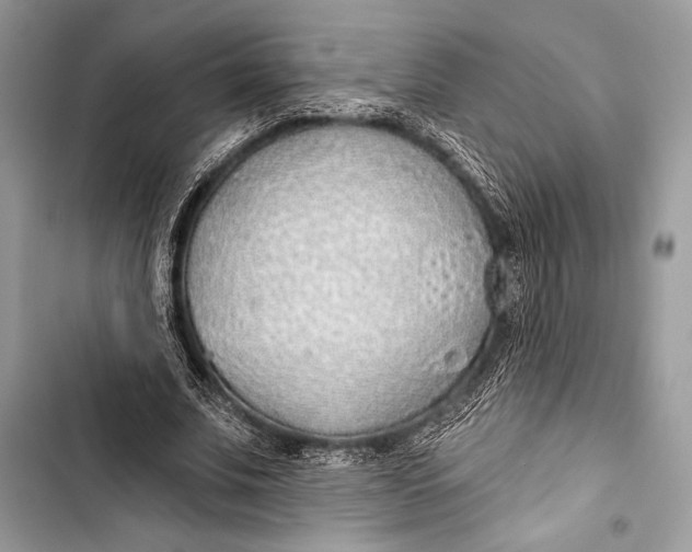 X0000103490679200810031606