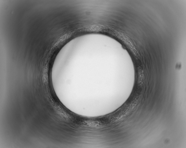 X0000103490681200810031606