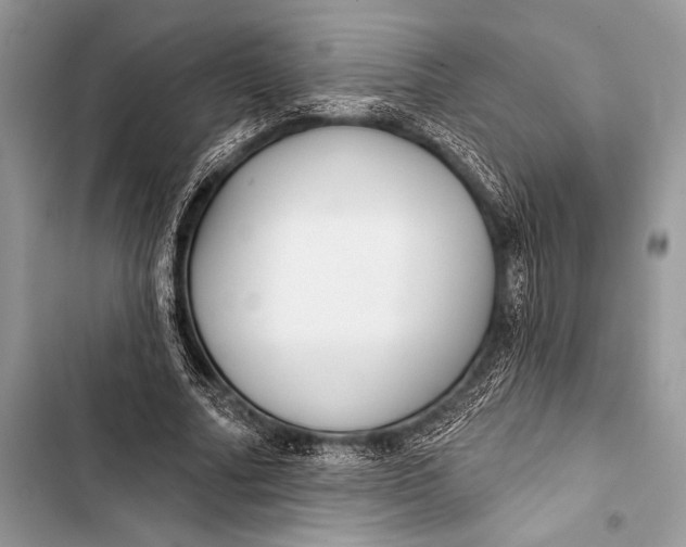 X0000103490682200810031606