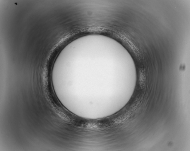 X0000103490684200810031606