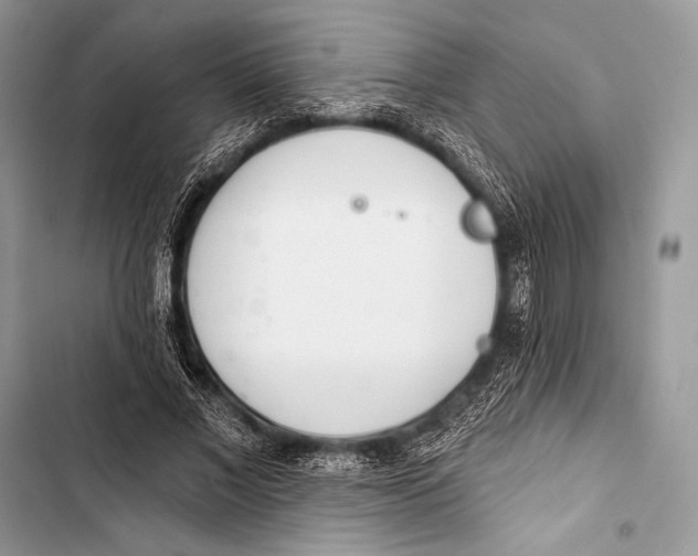 X0000103490685200810031606