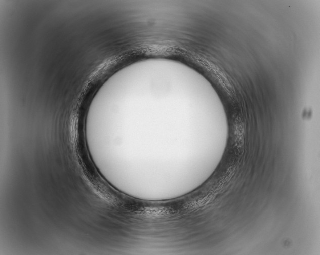 X0000103490686200810031606