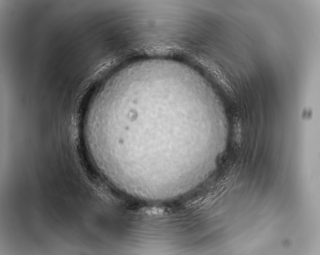 X0000103490687200810031606