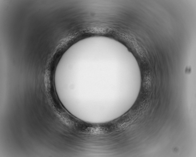 X0000103490688200810031606