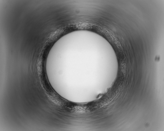 X0000103490690200810031606